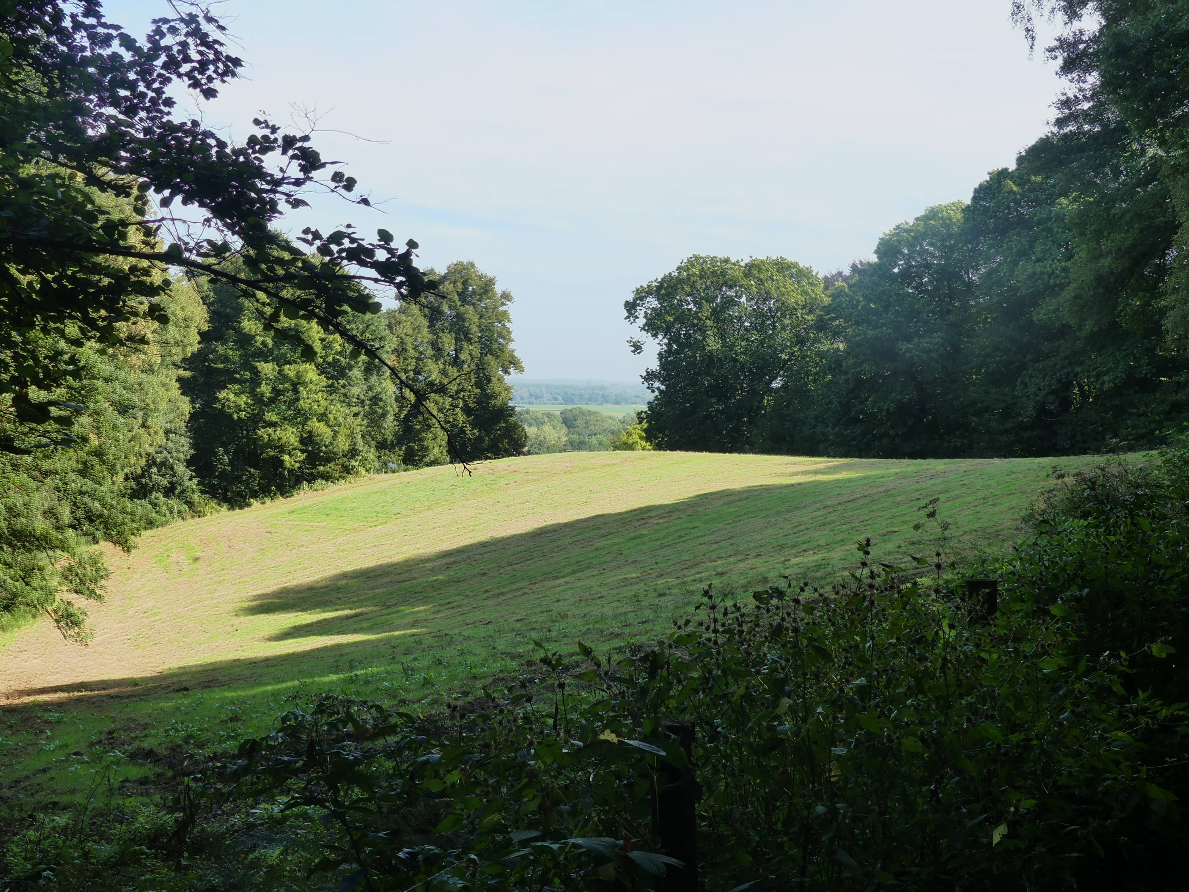 Uitzicht over heuvels tussen bomen
