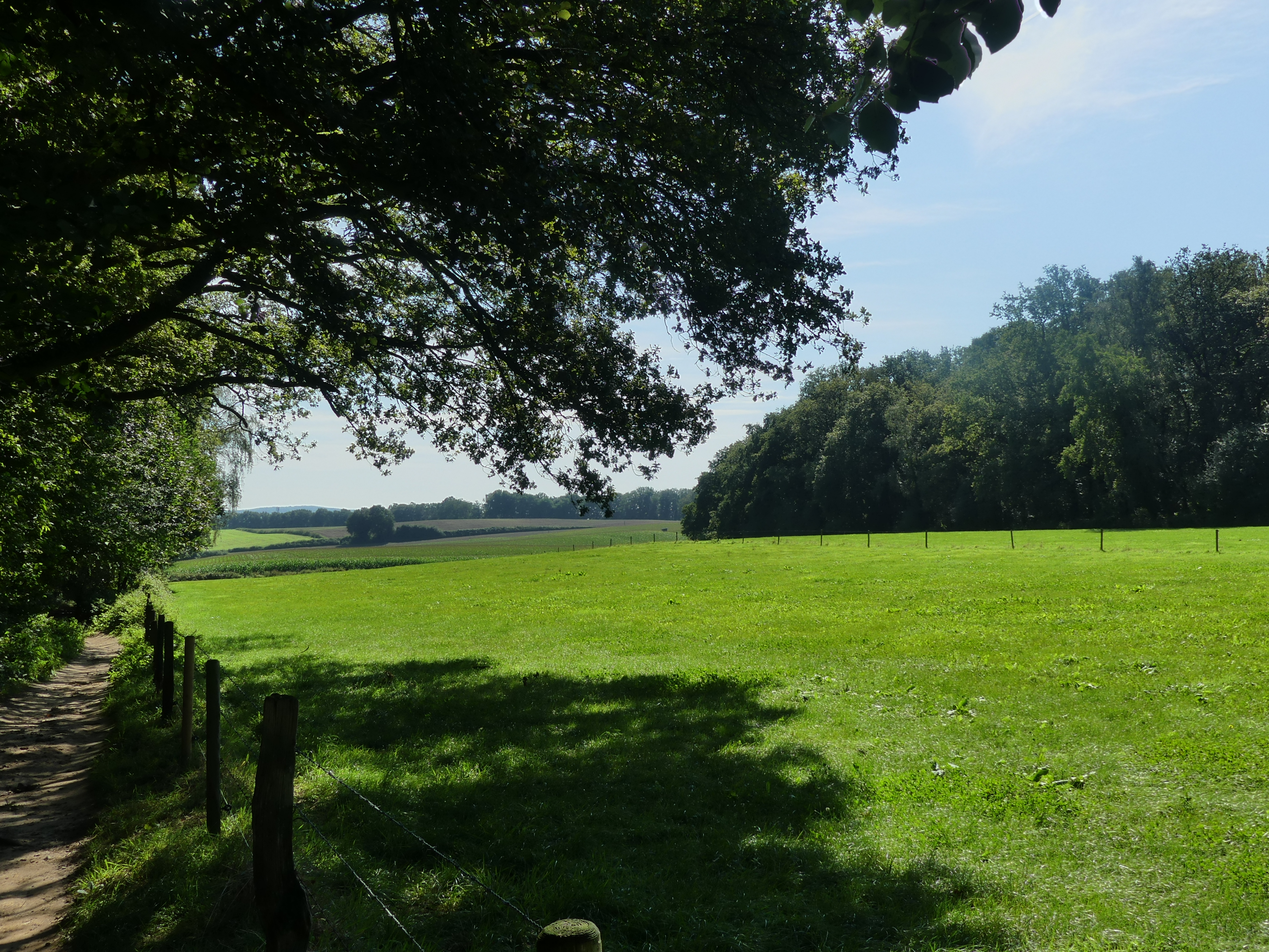 Uitzicht over glooiende weilanden