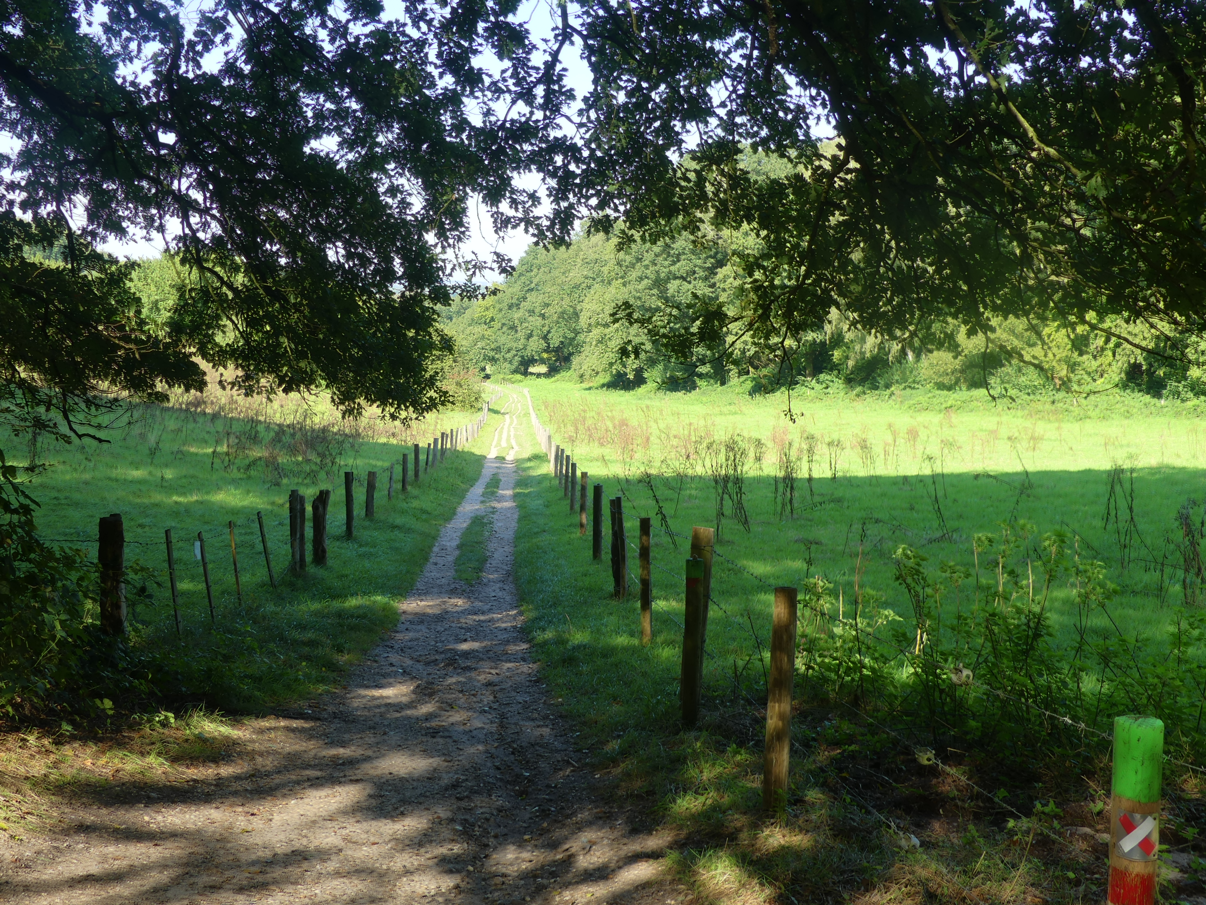 aarde weg tussen velden