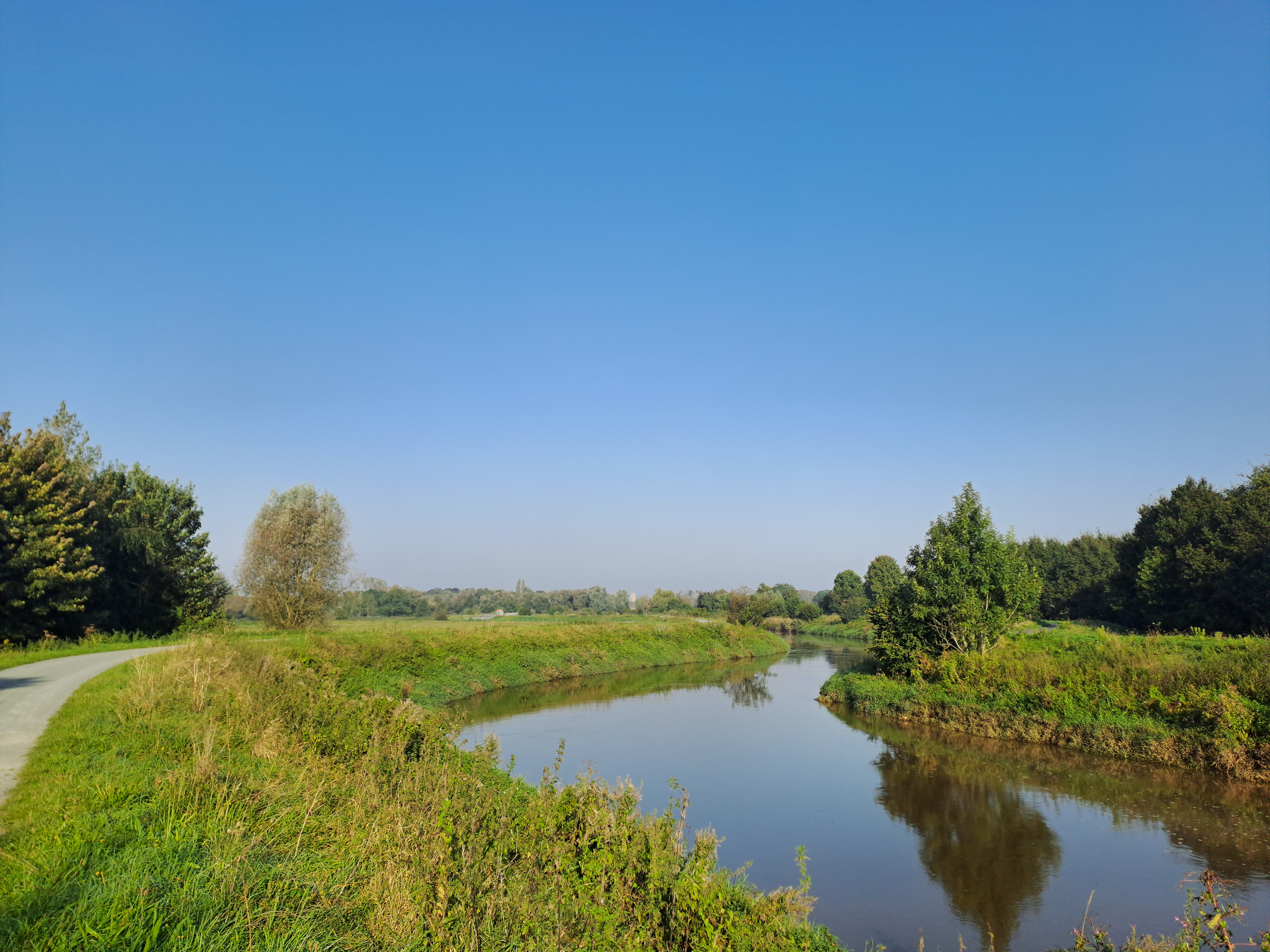 meanderend water in het groen