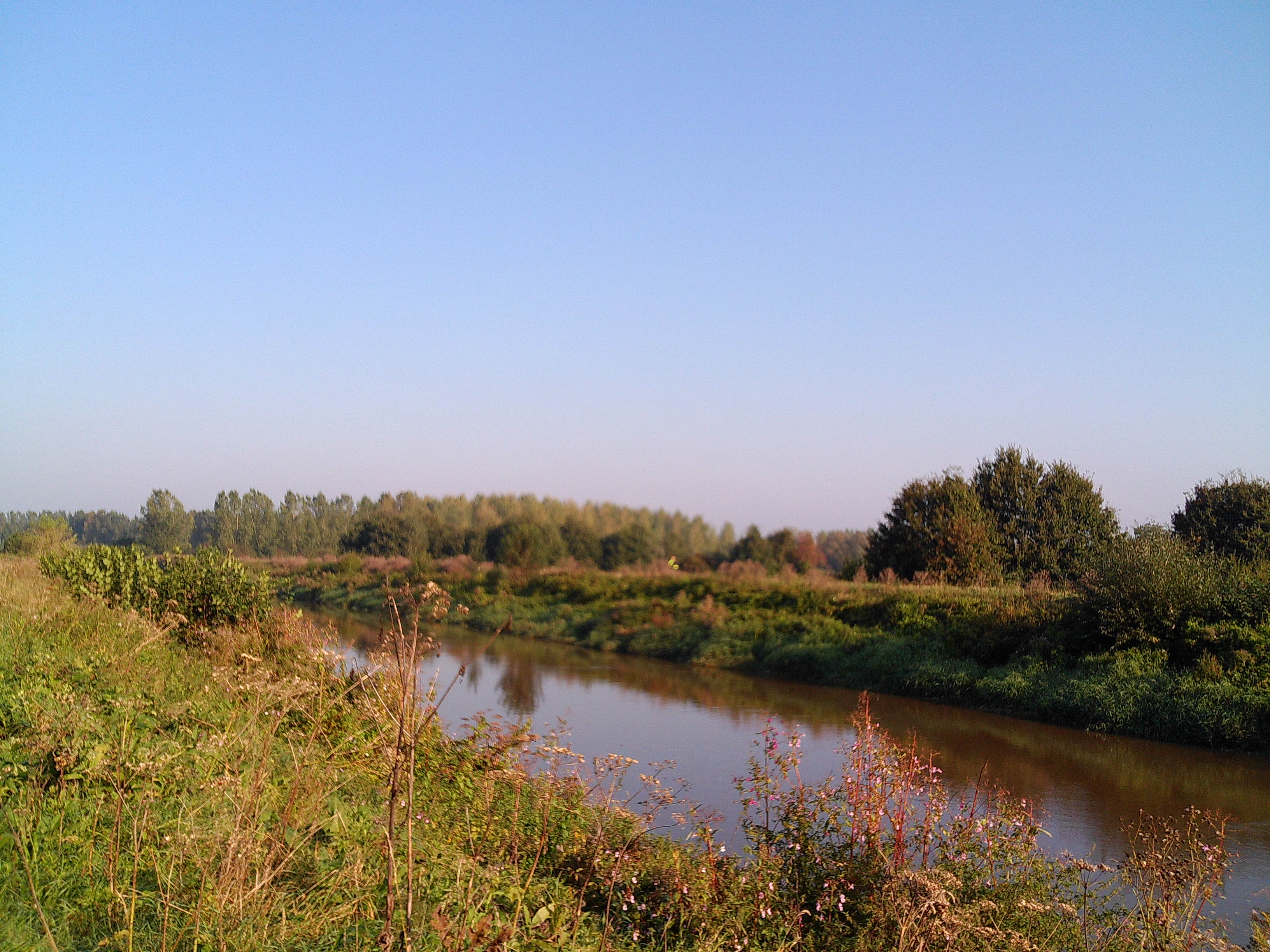 meanderend water in het groen
