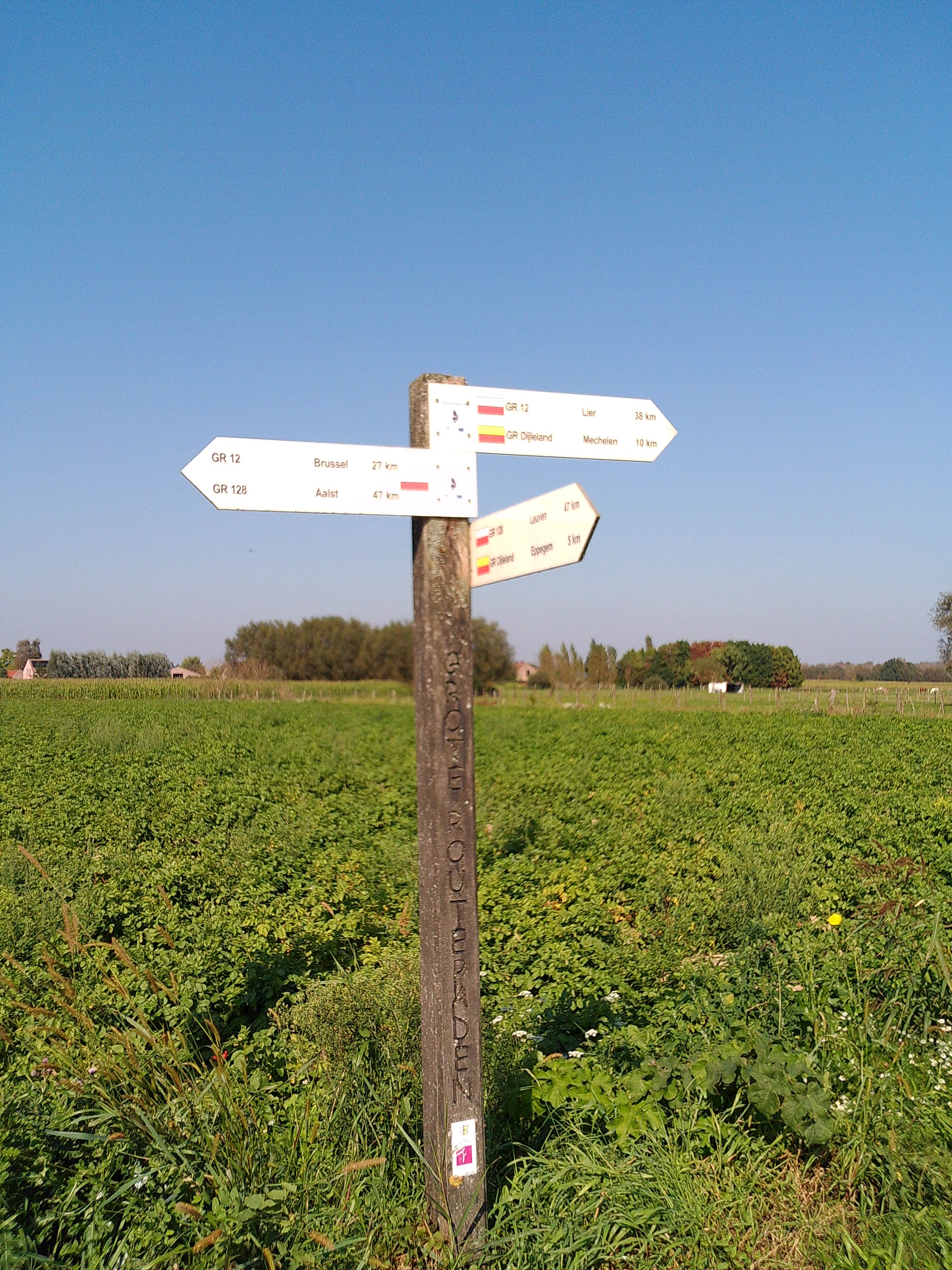 bordje met verschillende grote routepaden die samenjomen